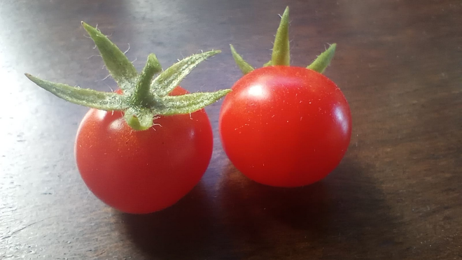 cherry!